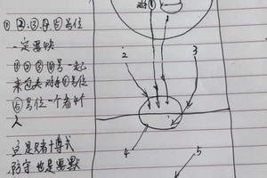 初学者篮球战术训练资料哪里找?全面指南与经验分享